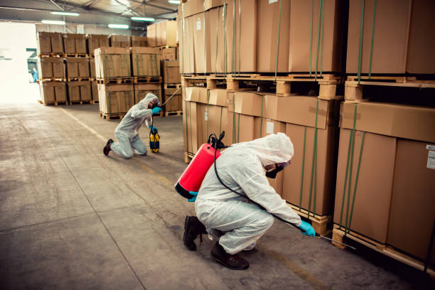 Best Ant Control Services  in Mustang Ridge, TX