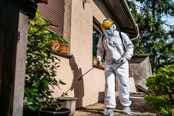 Best Emergency Pest Control  in Mustang Ridge, TX