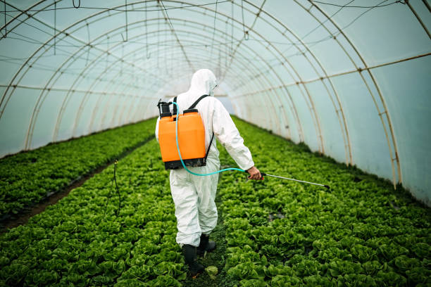 Best Best Pest Control Companies  in Mustang Ridge, TX