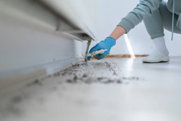 Professional Pest Control in Mustang Ridge, TX